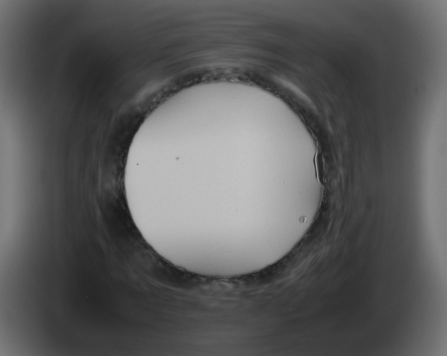 X0000082970869200703020232