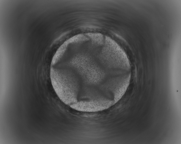 X0000082970870200703020232