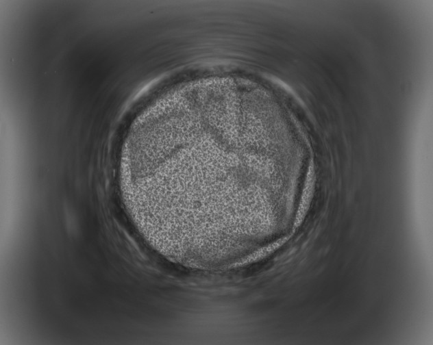 X0000082970871200703020232