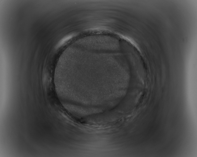 X0000082970872200703020232