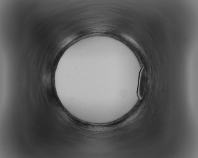 X0000082970873200703020232