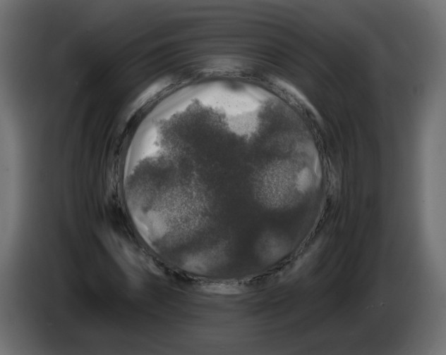 X0000082970874200703020232