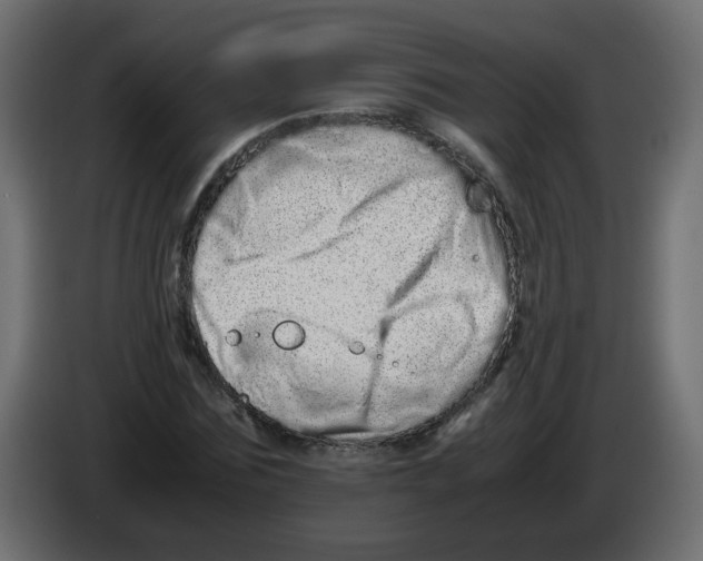 X0000082970875200703020232