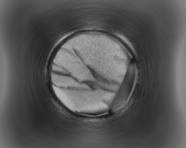 X0000082970876200703020232