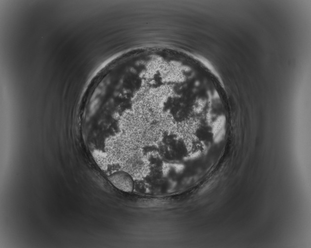X0000082970879200703020232