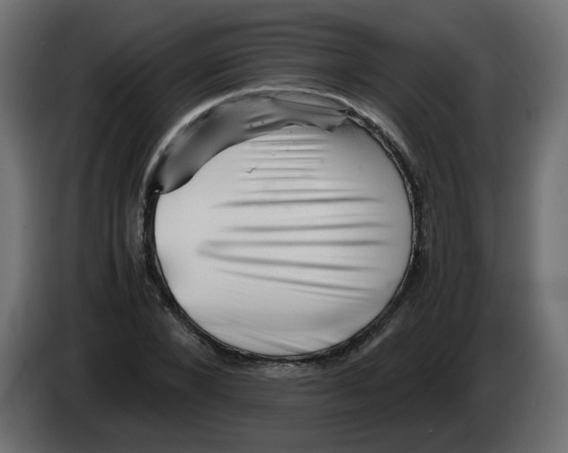 X0000082970880200703020232