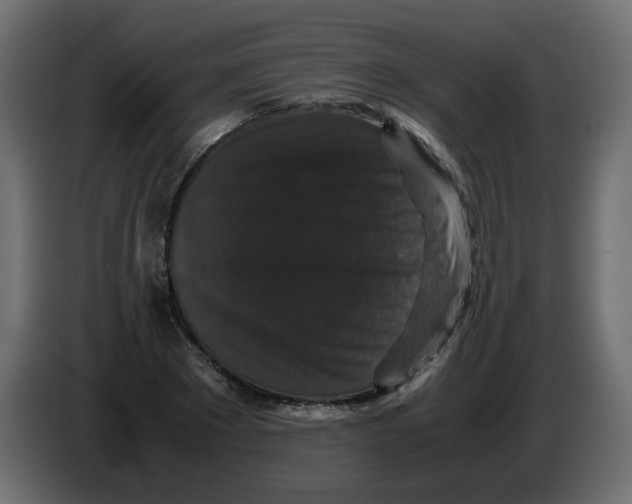 X0000082970881200703020232