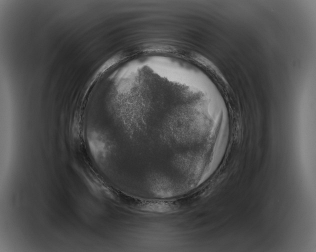 X0000082970882200703020232