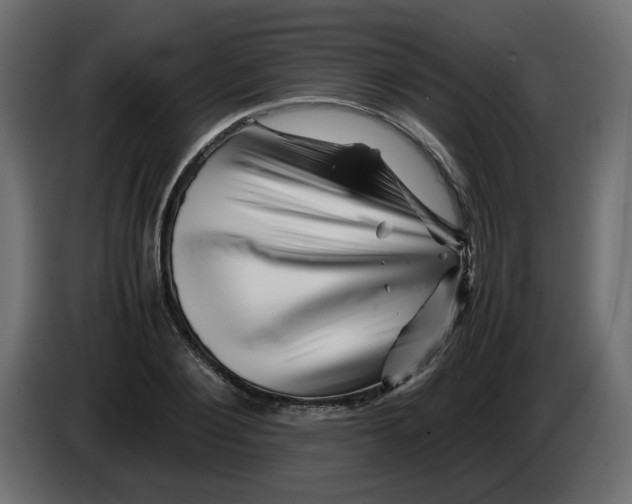 X0000082970884200703020232