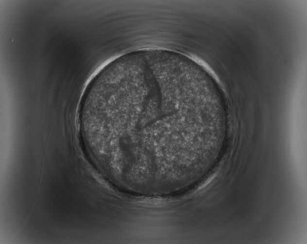 X0000082970885200703020232