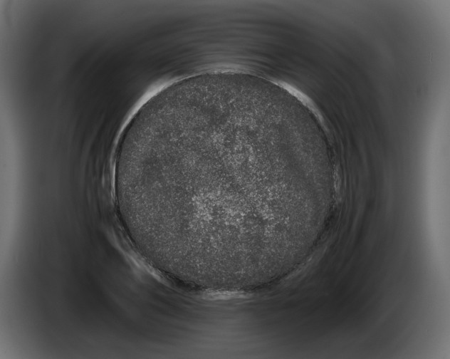 X0000082970886200703020232