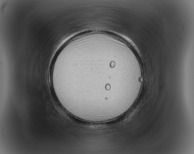 X0000082970887200703020232