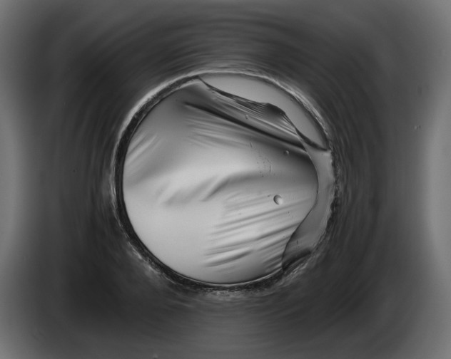 X0000082970888200703020232