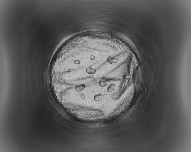 X0000082970891200703020232