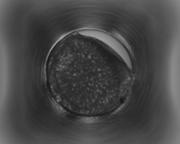 X0000082970892200703020232