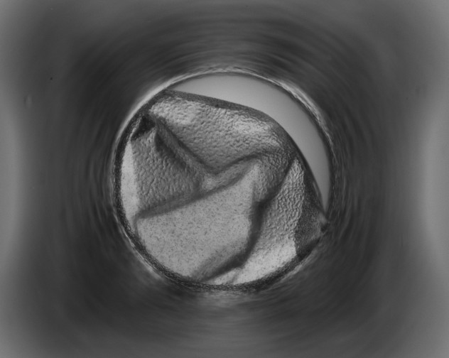 X0000082970894200703020232
