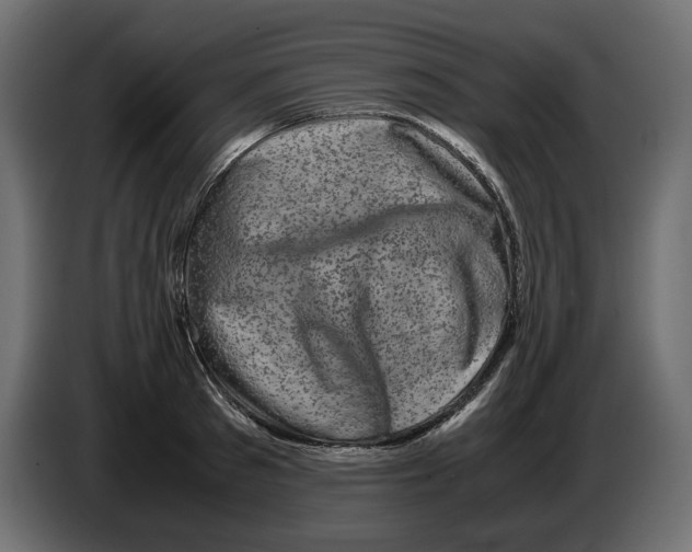 X0000082970897200703020232