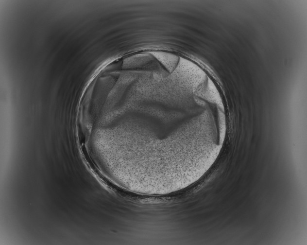 X0000082970898200703020232