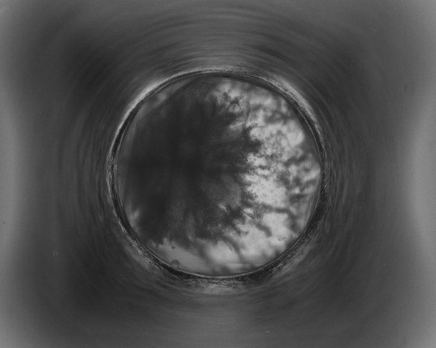 X0000082970899200703020232