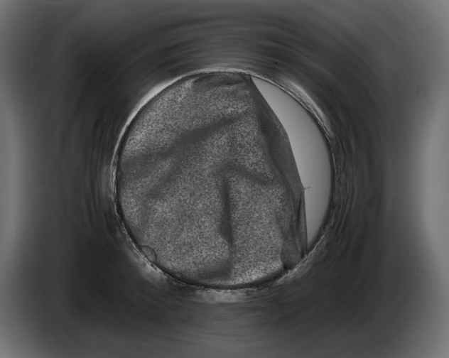 X0000082970900200703020232