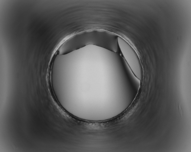 X0000082970901200703020232