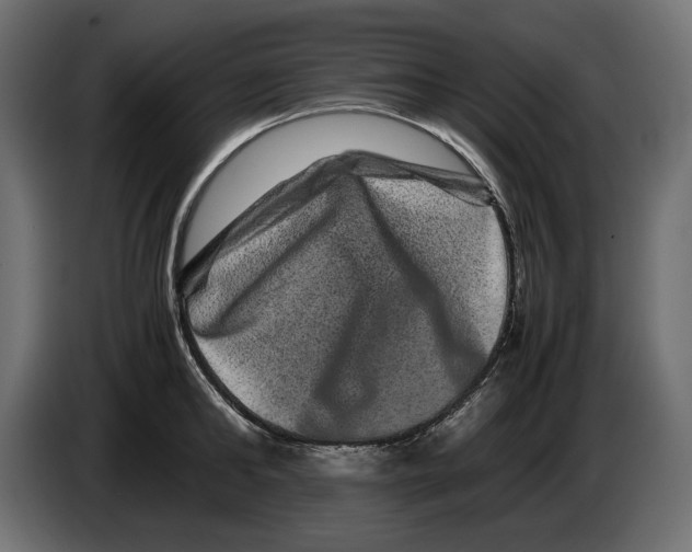 X0000082970902200703020232