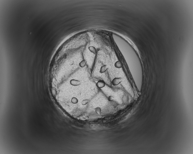 X0000082970903200703020232