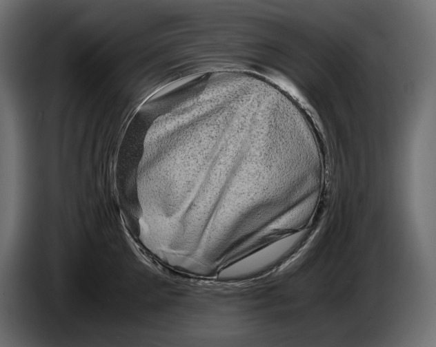X0000082970905200703020232