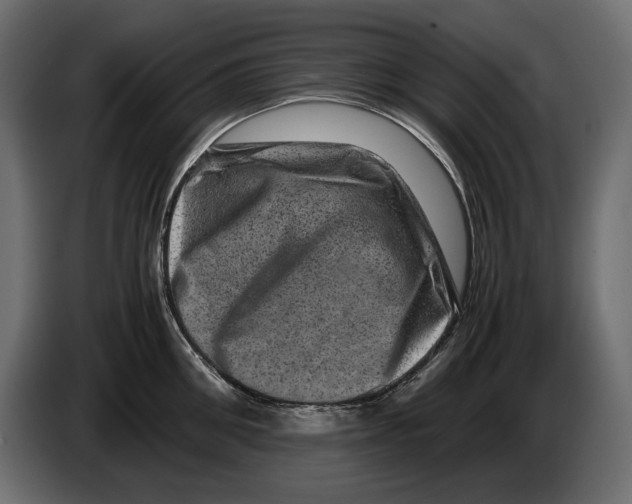X0000082970906200703020232
