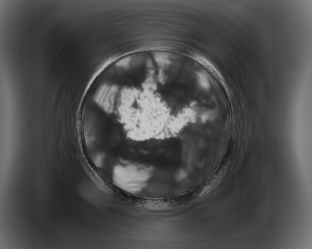 X0000082970907200703020232