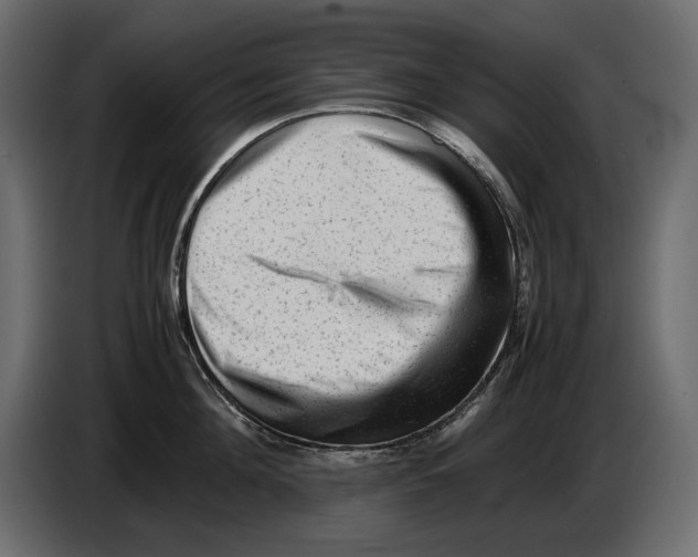 X0000082970908200703020231