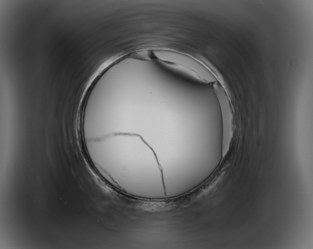 X0000082970909200703020231