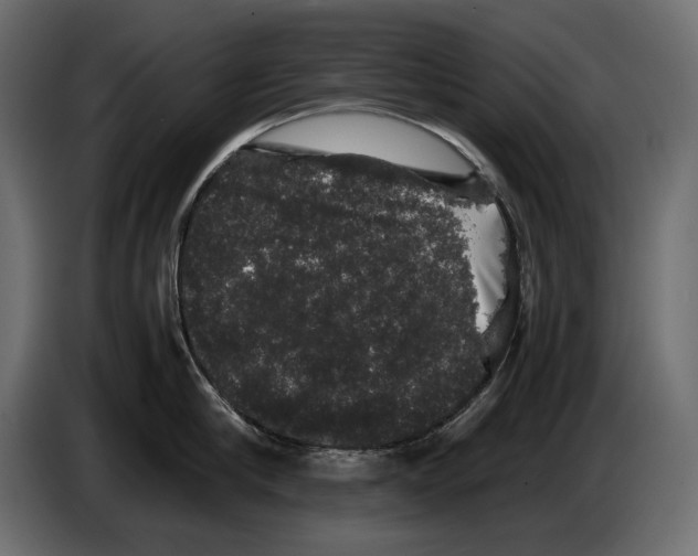 X0000082970910200703020231
