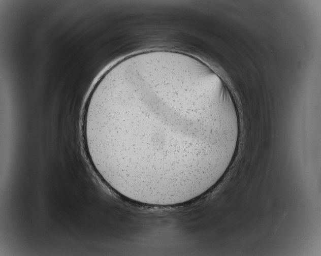 X0000082970912200703020231
