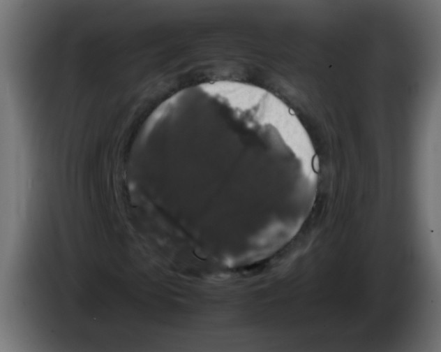 X0000082970913200703020231