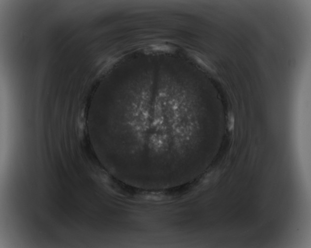 X0000082970915200703020231