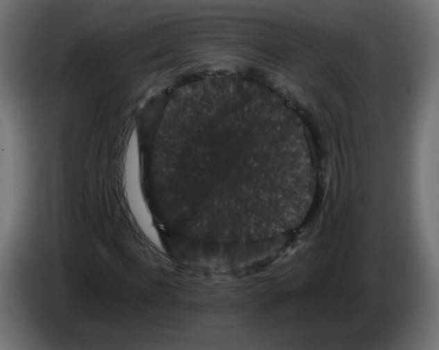 X0000082970916200703020231