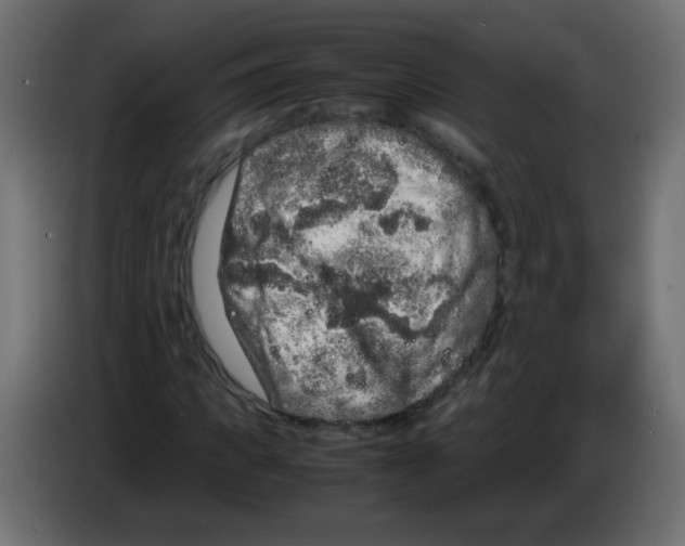 X0000082970917200703020231