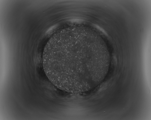 X0000082970918200703020231