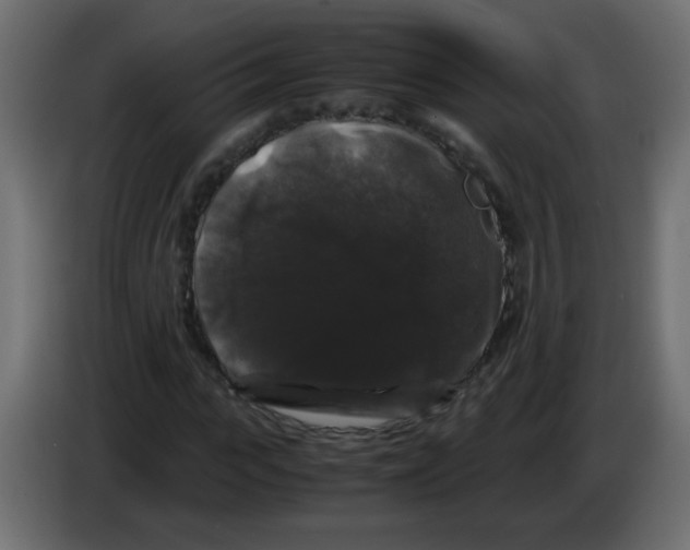 X0000082970919200703020231