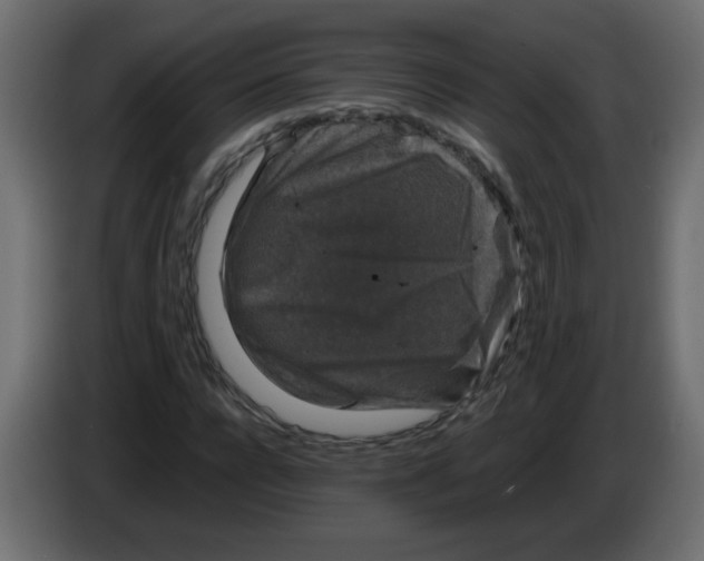X0000082970920200703020231