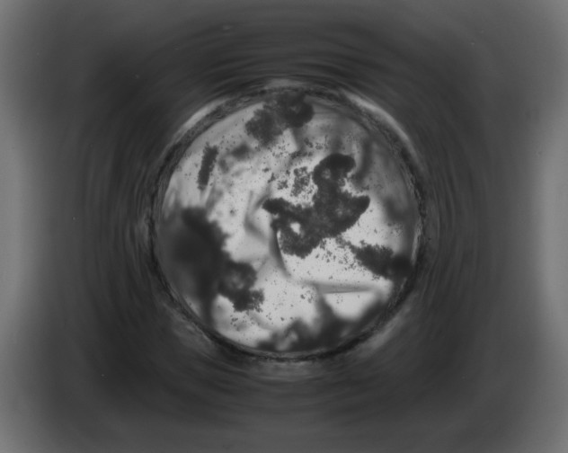 X0000082970921200703020231