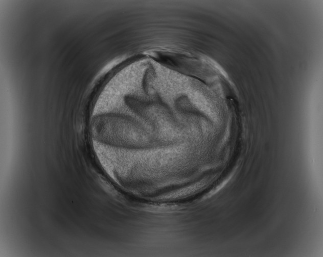 X0000082970922200703020231