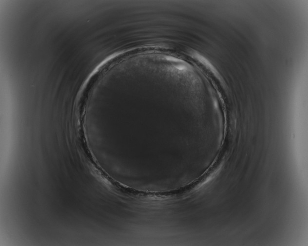 X0000082970923200703020231