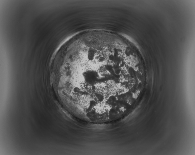 X0000082970925200703020231