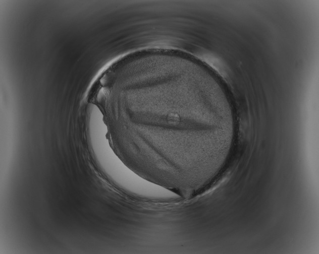 X0000082970926200703020231
