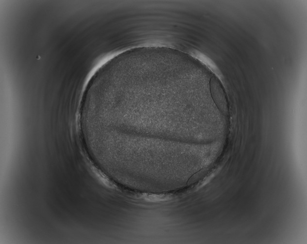 X0000082970928200703020231