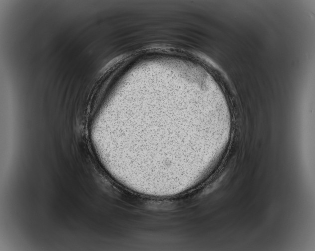 X0000082970929200703020231