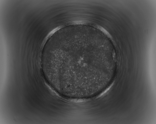 X0000082970930200703020231