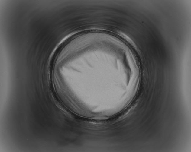 X0000082970931200703020231